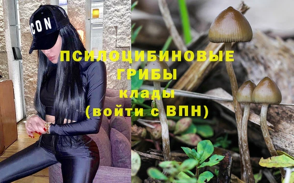 спайс Беломорск