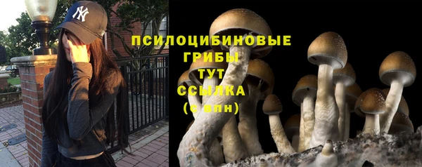 a pvp Сафоново
