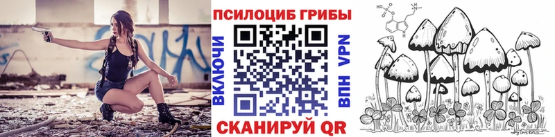 Псилоцибиновые грибы Psilocybe Малая Вишера